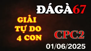 Full Clip Đá Gà Thomo C2 01/06/2025 – Giải Tự Do 4 Con