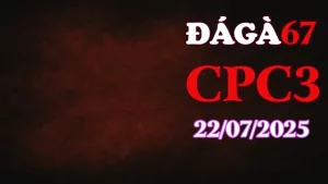 Video Phát Lại Đá Gà C3 Thomo Hôm Nay 22/07/2025