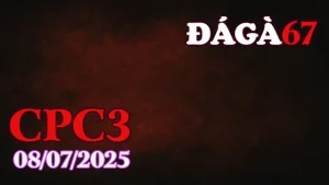 Full Clip Đá Gà Thomo C3 Ngày 08/07/2025 – daga67