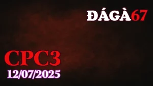 Video Clip Đá Gà Trực Tiếp C3 Ngày 12/07/2025