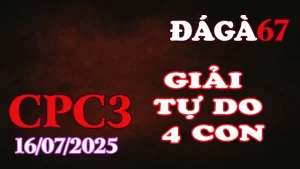 Gà Đá Giải Thomo Hôm Nay CPC3 Ngày 16/07/2025 – Giải Vô Địch Cúp C3