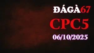 Clip gà chọi trực tiếp C5 full HD ngày 06/10/2025