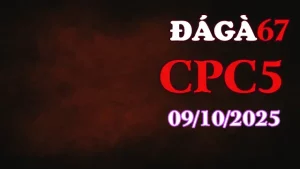 Clip gà chọi trực tiếp C5 full HD ngày 09/10/2025