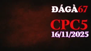 Xem lại clip phát trực tiếp đá gà CPC5 hôm nay 16112025