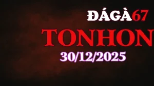 Xem lại video trực tiếp đá gà Tonhon 30122025
