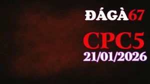 Clip đá gà trực tiếp CPC5 ngày 21012026 phát lại mới nhất