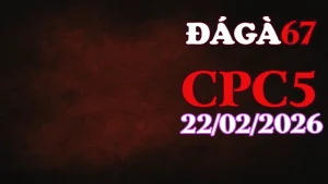 Tổng hợp Clip đá gà trực tiếp CPC5 hôm nay ngày 22022026 mới nhất