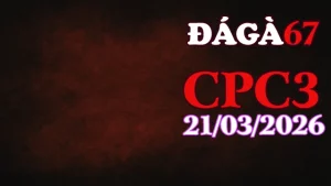 Clip đá gà CPC3 hôm nay 21032026 – Video trực tiếp Thomo
