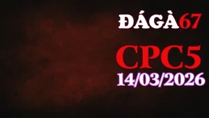 Xem đá gà trực tiếp CPC5 hôm nay 14032026 – Cập nhật trận gà Thomo