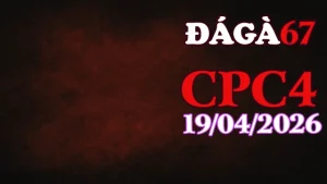 Xem tổng hợp video đá gà Thomo CPC4 ngày 19042026